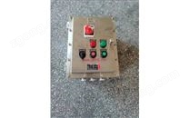 IIBT4不锈钢防爆控制箱 正泰元件304材质