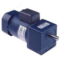 調(diào)速電機6W