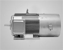 高壓電動(dòng)機(jī)